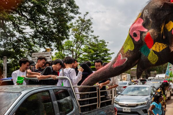 El Songkran es la fiesta tradicional de Año Nuevo en Tailandia que se celebra en abril, el mes más caluroso del año. En la foto: elefantes saludando a los lugareños en automóvil durante el festival. El Songkran es la fiesta tradicional de Año Nuevo en Tailandia que se celebra en abril, el mes más caluroso del año. En la foto: elefantes saludando a los lugareños en automóvil durante el festival. - Sputnik Mundo