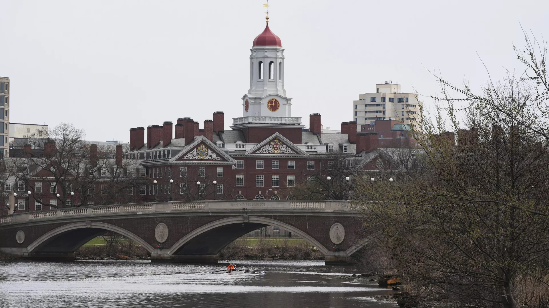 Universidad de Harvard. Universidad de Harvard. - Sputnik Mundo, 1920, 23.04.2025