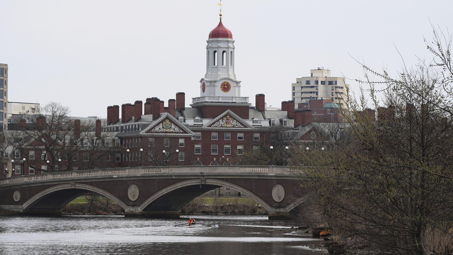 Universidad de Harvard. Universidad de Harvard. - Sputnik Mundo, 1920, 14.07.2025