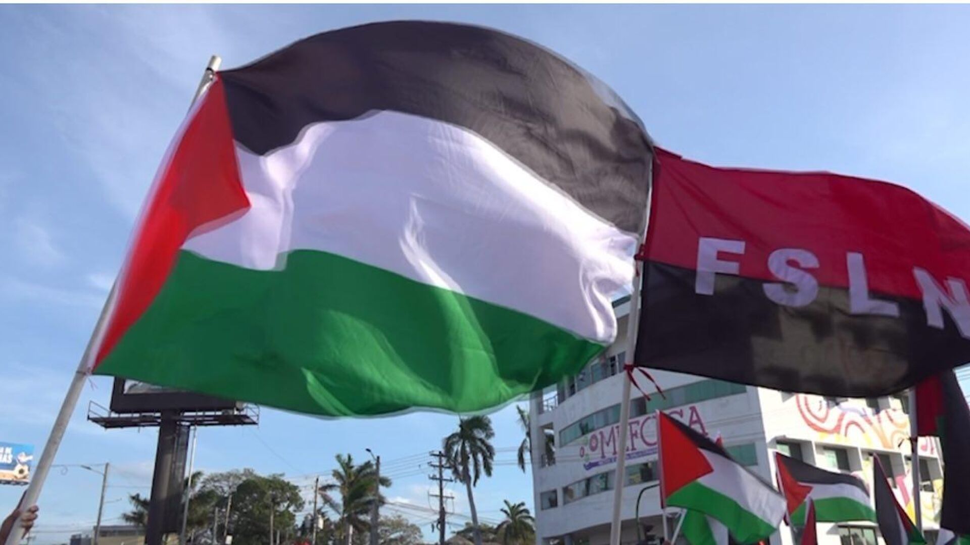 Las banderas de Palestina y del Frente Sandinista de Liberación Nacional en la Caminata por la paz en Managua. Las banderas de Palestina y del Frente Sandinista de Liberación Nacional en la Caminata por la paz en Managua. - Sputnik Mundo, 1920, 23.04.2025