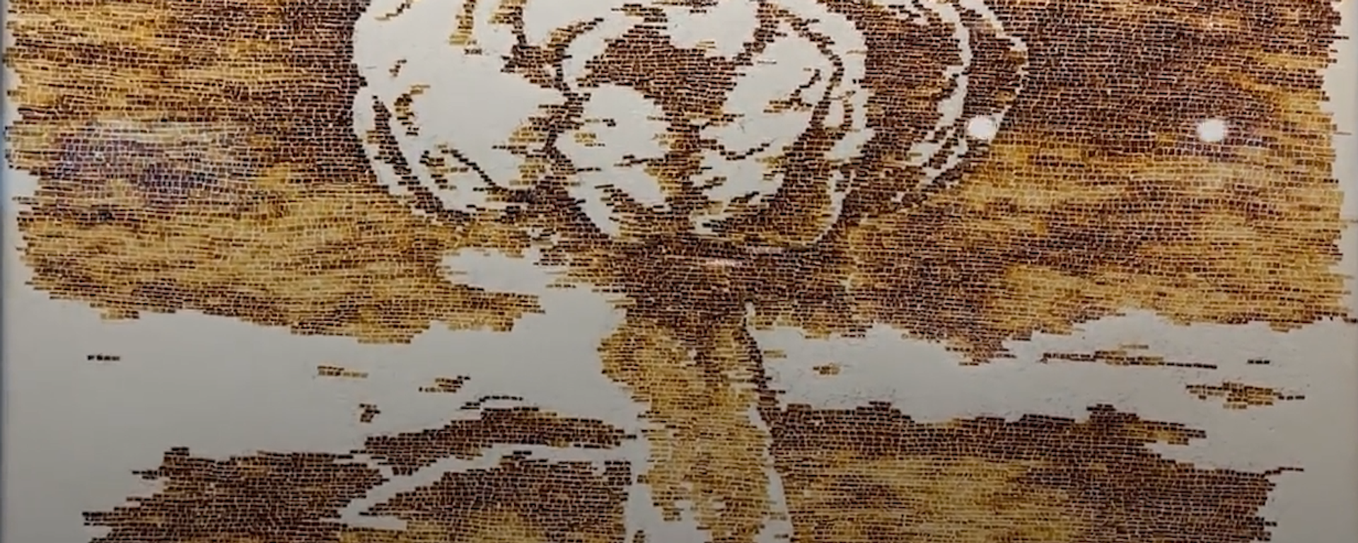 El tratado que mantiene a América Latina limpia de armas nucleares - Sputnik Mundo, 1920, 26.04.2025