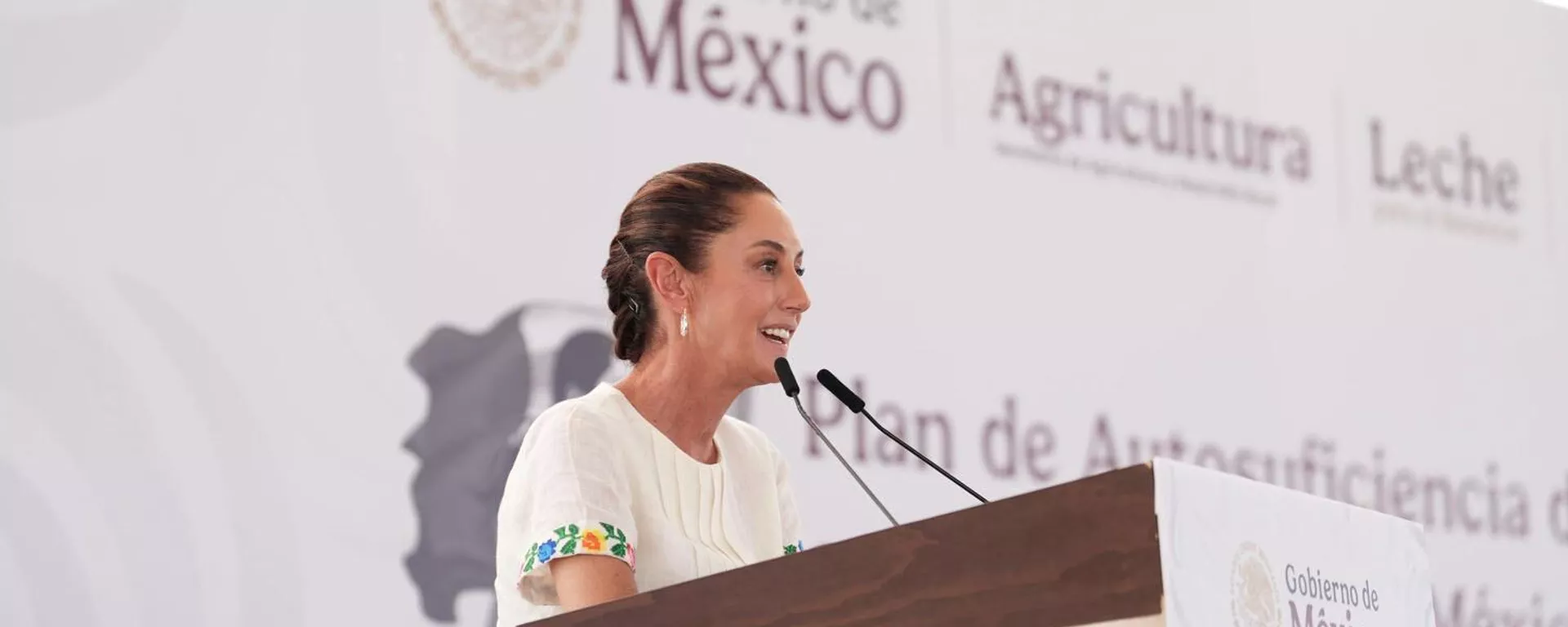 Claudia Sheinbaum, presidenta de México - Sputnik Mundo, 1920, 05.05.2025