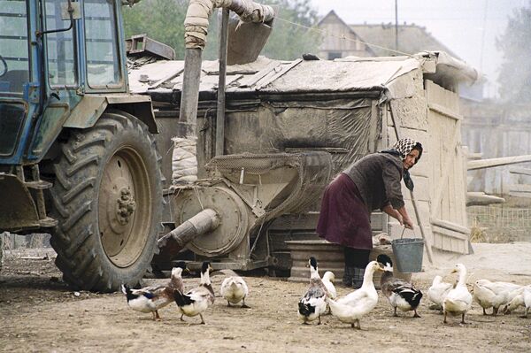 Una mujer alimenta a los gansos en el Cáucaso Norte, 1999. Una mujer alimenta a los gansos en el Cáucaso Norte, 1999. - Sputnik Mundo