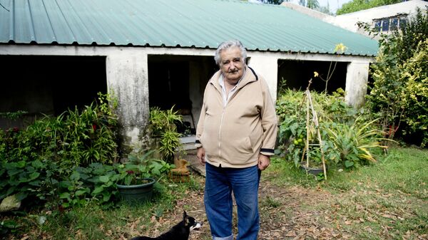José Mujica, expresidente de Uruguay - Sputnik Mundo
