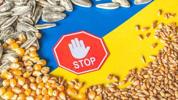 Detención de las importaciones de productos agrícolas ucranianos (referencial) - Sputnik Mundo