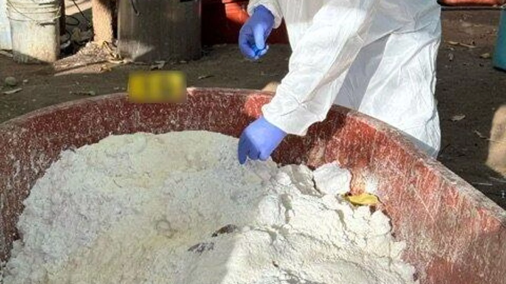 Aseguramiento de laboratorios clandestinos en México Aseguramiento de laboratorios clandestinos en México - Sputnik Mundo, 1920, 15.05.2025