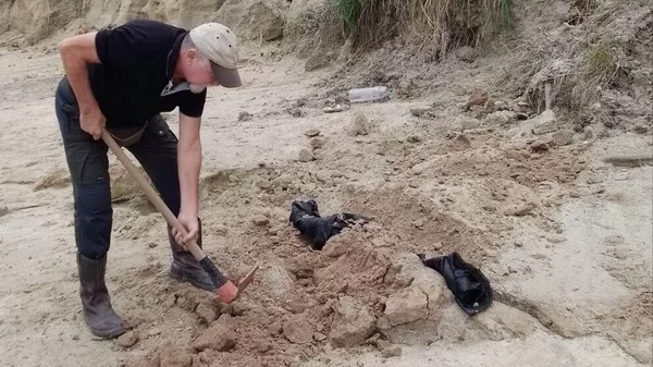 El paleontólogo Daniel Perea trabaja en la extracción de fósil de megaterio en Kiyú, Uruguay. - Sputnik Mundo