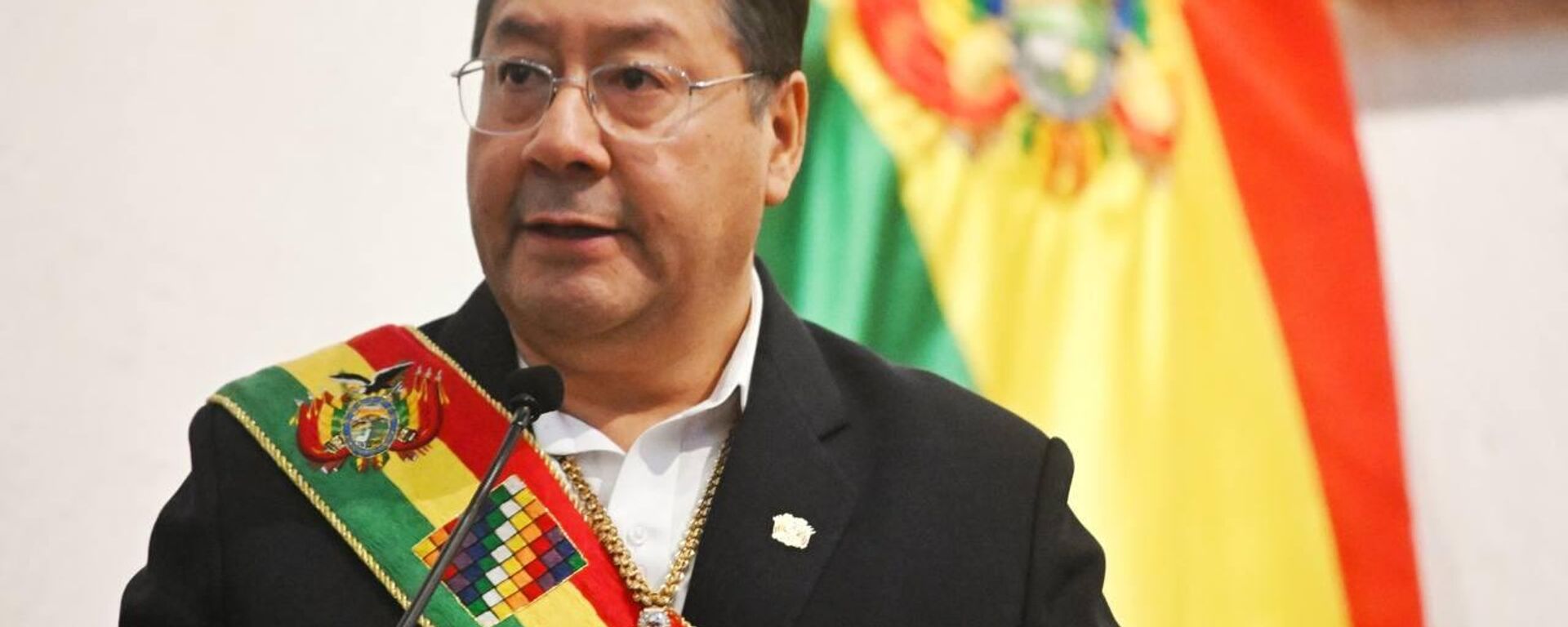 Luis Arce arremete contra Evo Morales por nuevas movilizaciones en Bolivia - Sputnik Mundo, 1920, 03.06.2025