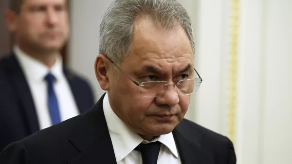 Serguéi Shoigú, secretario del Consejo de Seguridad de Rusia  - Sputnik Mundo