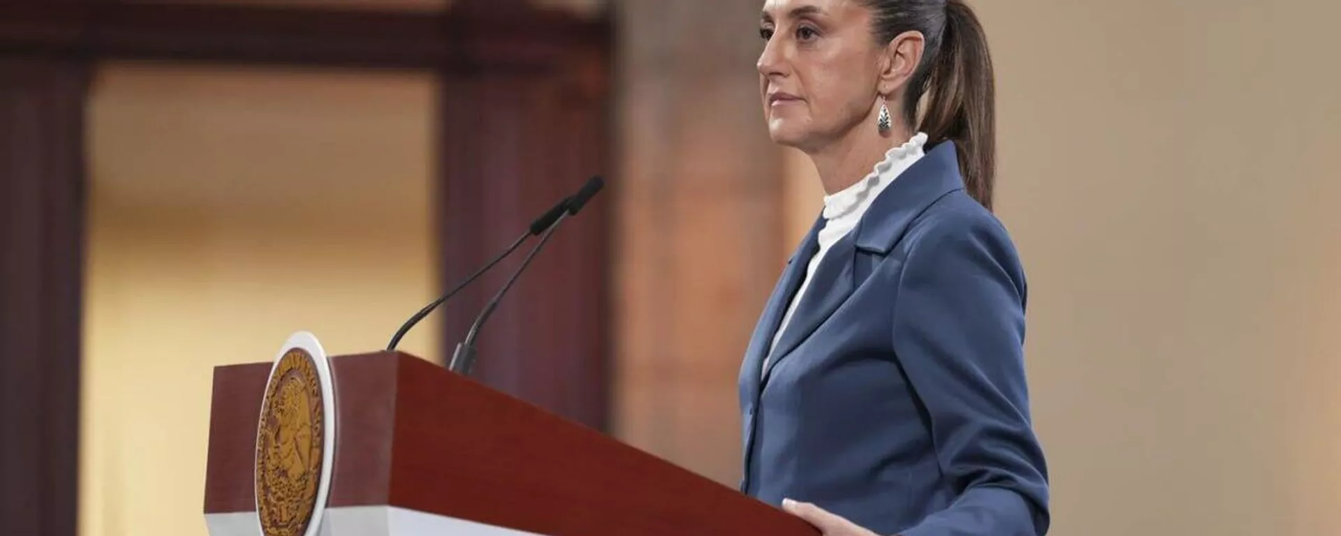 Sheinbaum rechaza el informe sobre la elección judicial pero descarta salir de la OEA - Sputnik Mundo, 1920, 10.06.2025
