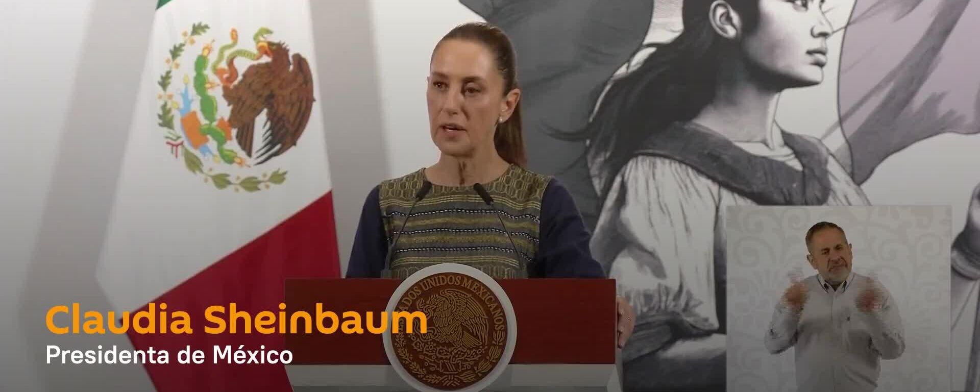 Sheinbaum descarta salida de la OEA, pero defiende soberanía nacional - Sputnik Mundo, 1920, 10.06.2025