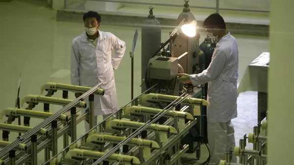 Las FDI informan haber dado muerte a nueve científicos nucleares de Irán - Sputnik Mundo
