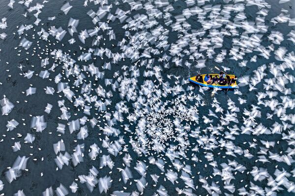 Tranquilidad en movimiento, foto desde la XI edición del Concurso Internacional Andréi Stenin para fotoperiodistas jóvenes. - Sputnik Mundo