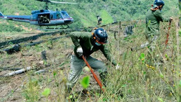 Las autoridades peruanas eliminaron miles de hectáreas de coca. - Sputnik Mundo