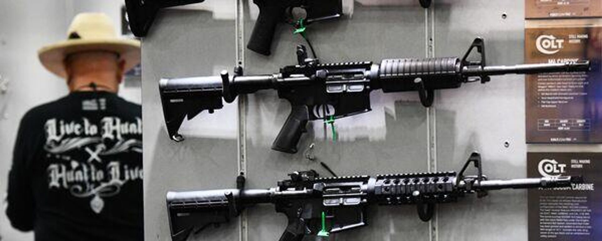 El canciller de México sostiene diálogo con activistas de EEUU contra la violencia por armas de fuego - Sputnik Mundo, 1920, 21.06.2025
