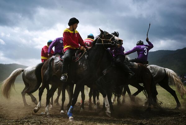 El kok-ború es un deporte ecuestre por equipos y el juego nacional de los altáis, un pueblo que vive principalmente en la Siberia occidental. Durante el juego, los participantes deben, sin bajarse del caballo, levantar el cuerpo de una cabra del suelo y meterlo en la portería.En la foto: los participantes en la competición durante el campeonato del kok-ború de la república rusa de Altái. - Sputnik Mundo