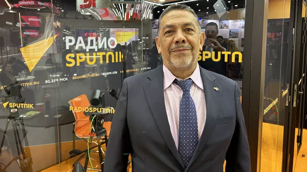 El viceministro de Políticas Antibloqueo de Venezuela, William Castillo - Sputnik Mundo