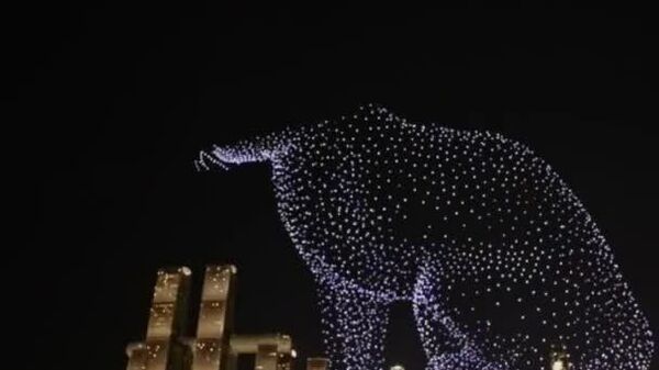 Gato de luces sobre China: mil drones brillan en el cielo nocturno en un impresionante espectáculo aéreo - Sputnik Mundo
