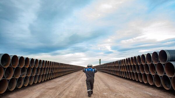 Jueza de EEUU ordena a Argentina la entrega del 51% de las acciones de YPF a dos fondos de inversión - Sputnik Mundo