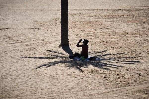 Un hombre aprovecha la sombra de una palmera para protegerse del sol mientras bebe agua, en un día caluroso en una playa de Barcelona, España. Un hombre aprovecha la sombra de una palmera para protegerse del sol mientras bebe agua, en un día caluroso en una playa de Barcelona, España. - Sputnik Mundo