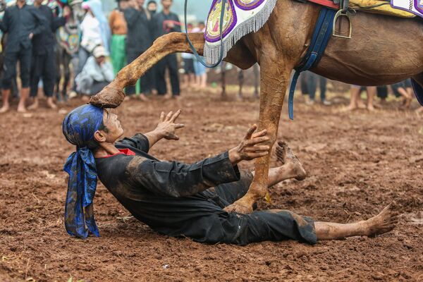 Artistas demuestran el arte marcial ecuestre Renggong, conocido localmente como Silat Kuda, en el Festival de Caballos Tradicional de Cibogo en Tanjungsari, Indonesia. El Kuda Renggong es una de las artes escénicas de la ciudad de Sumedang y ha sido famoso desde la década de 1990. Artistas demuestran el arte marcial ecuestre Renggong, conocido localmente como Silat Kuda, en el Festival de Caballos Tradicional de Cibogo en Tanjungsari, Indonesia. El Kuda Renggong es una de las artes escénicas de la ciudad de Sumedang y ha sido famoso desde la década de 1990. - Sputnik Mundo