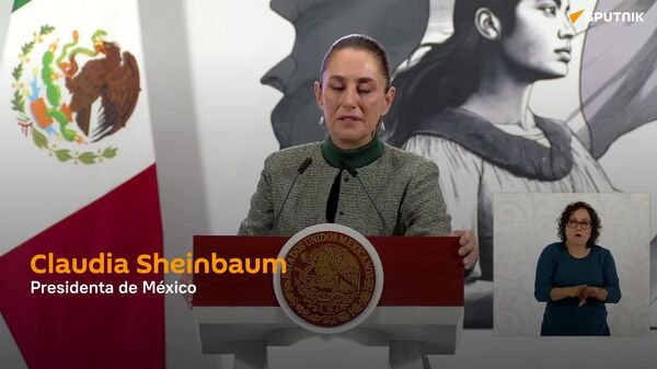 No estamos de acuerdo: Sheinbaum se pronuncia ante presupuesto millonario de Trump para deportaciones - Sputnik Mundo