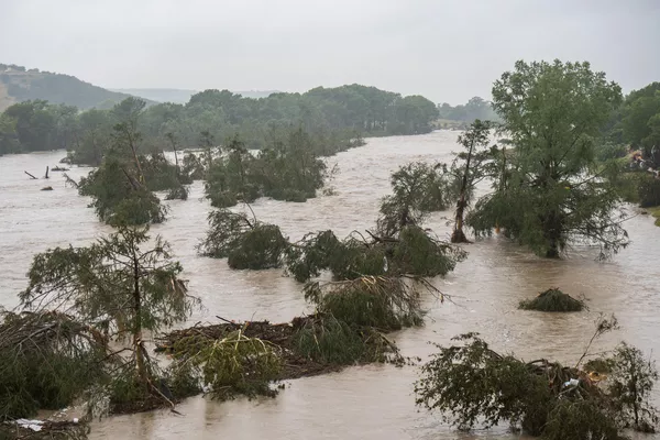 Los árboles emergen de las aguas de la inundación a lo largo del río Guadalupe. - Sputnik Mundo