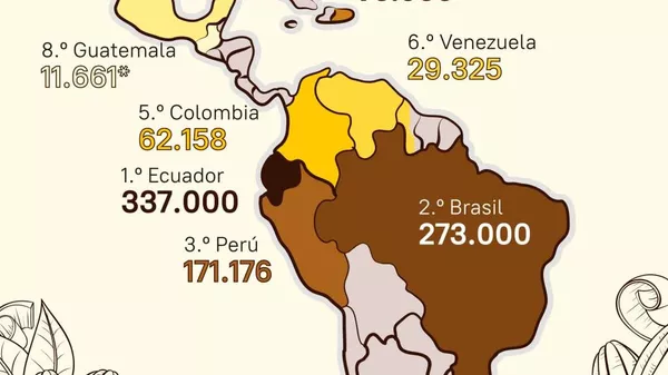 #SputnikGráfico | ¿Cuáles son los países que más cacao producen en América Latina? - Sputnik Mundo