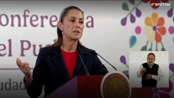 Sheinbaum califica como deplorables los insultos de una mujer argentina contra un policía mexicano - Sputnik Mundo
