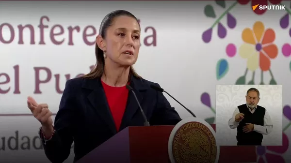 Sheinbaum califica como deplorables los insultos de una mujer argentina contra un policía mexicano - Sputnik Mundo