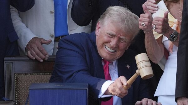 Donald Trump, presidente de EEUU  - Sputnik Mundo