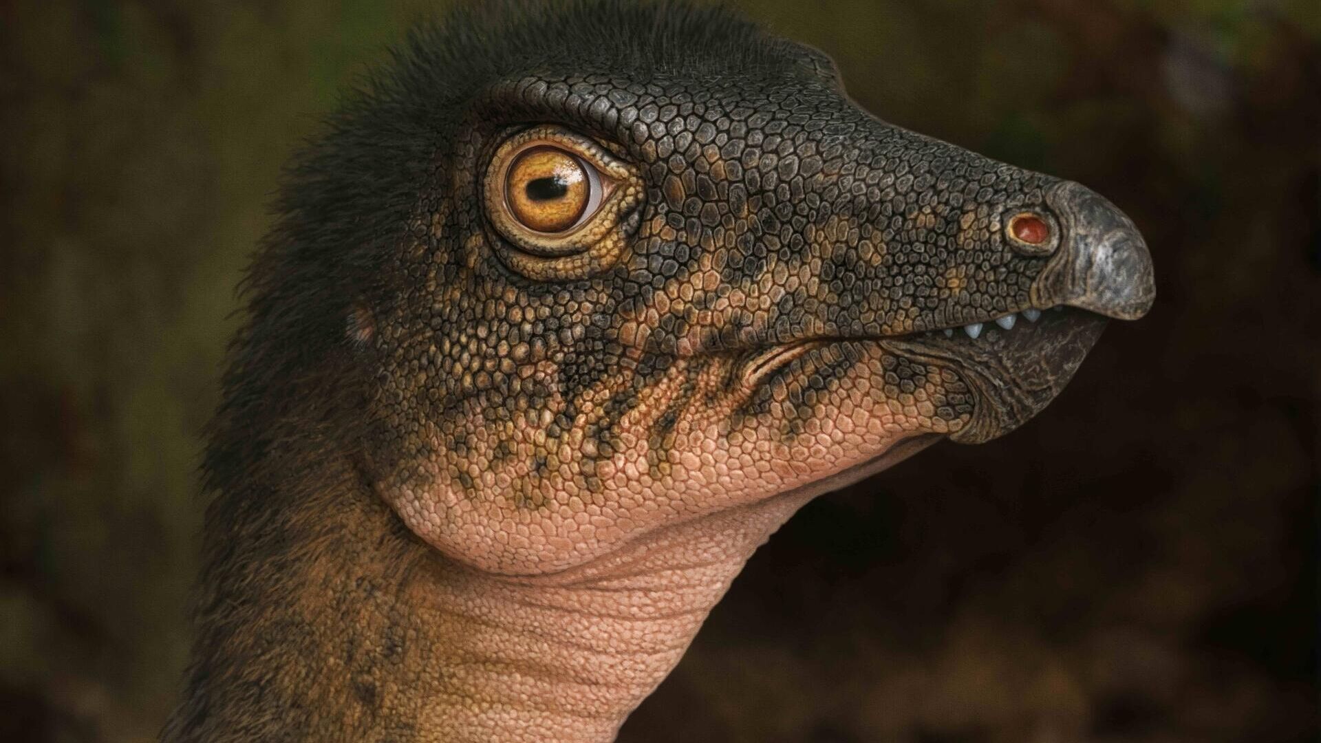 El Museo de Naturaleza y Ciencia de Denver, famoso por sus exhibiciones de dinosaurios de todas las edades, descubrió un hueso fósil bajo su propio estacionamiento. De acuerdo con la prensa local, el hallazgo se consiguió en medio de excavaciones para estudiar el potencial de calentamiento geotérmico del recinto. El Museo de Naturaleza y Ciencia de Denver, famoso por sus exhibiciones de dinosaurios de todas las edades, descubrió un hueso fósil bajo su propio estacionamiento. De acuerdo con la prensa local, el hallazgo se consiguió en medio de excavaciones para estudiar el potencial de calentamiento geotérmico del recinto. - Sputnik Mundo, 1920, 12.07.2025