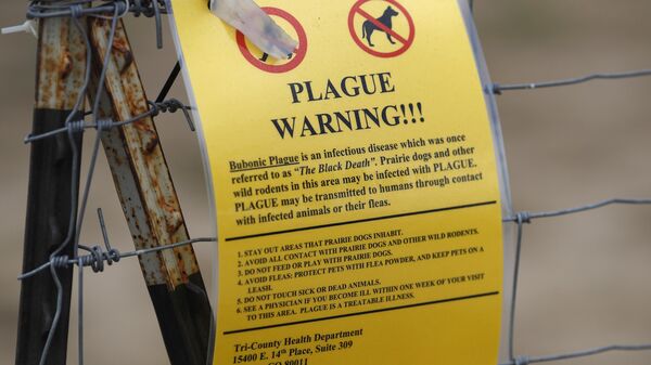 La peste bubónica es una enfermedad que apareció a inicios del siglo XX. - Sputnik Mundo