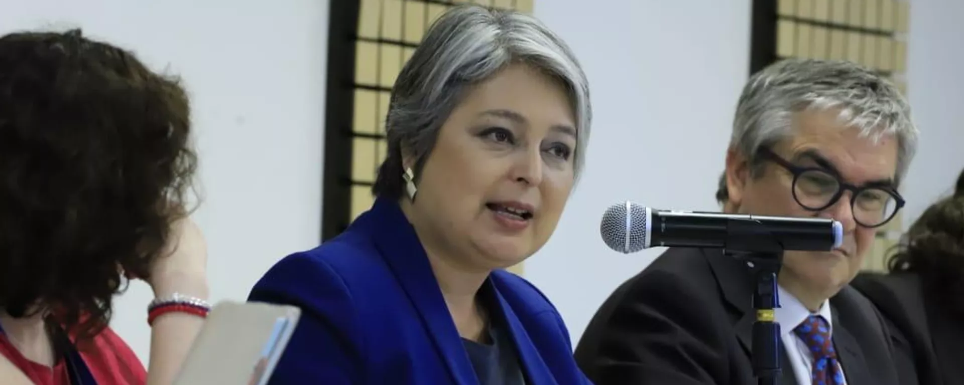 Jeannette Jara. - Sputnik Mundo, 1920, 12.07.2025