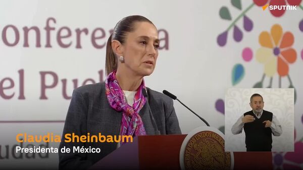 México descarta que el crimen organizado use drones en la frontera con EEUU - Sputnik Mundo