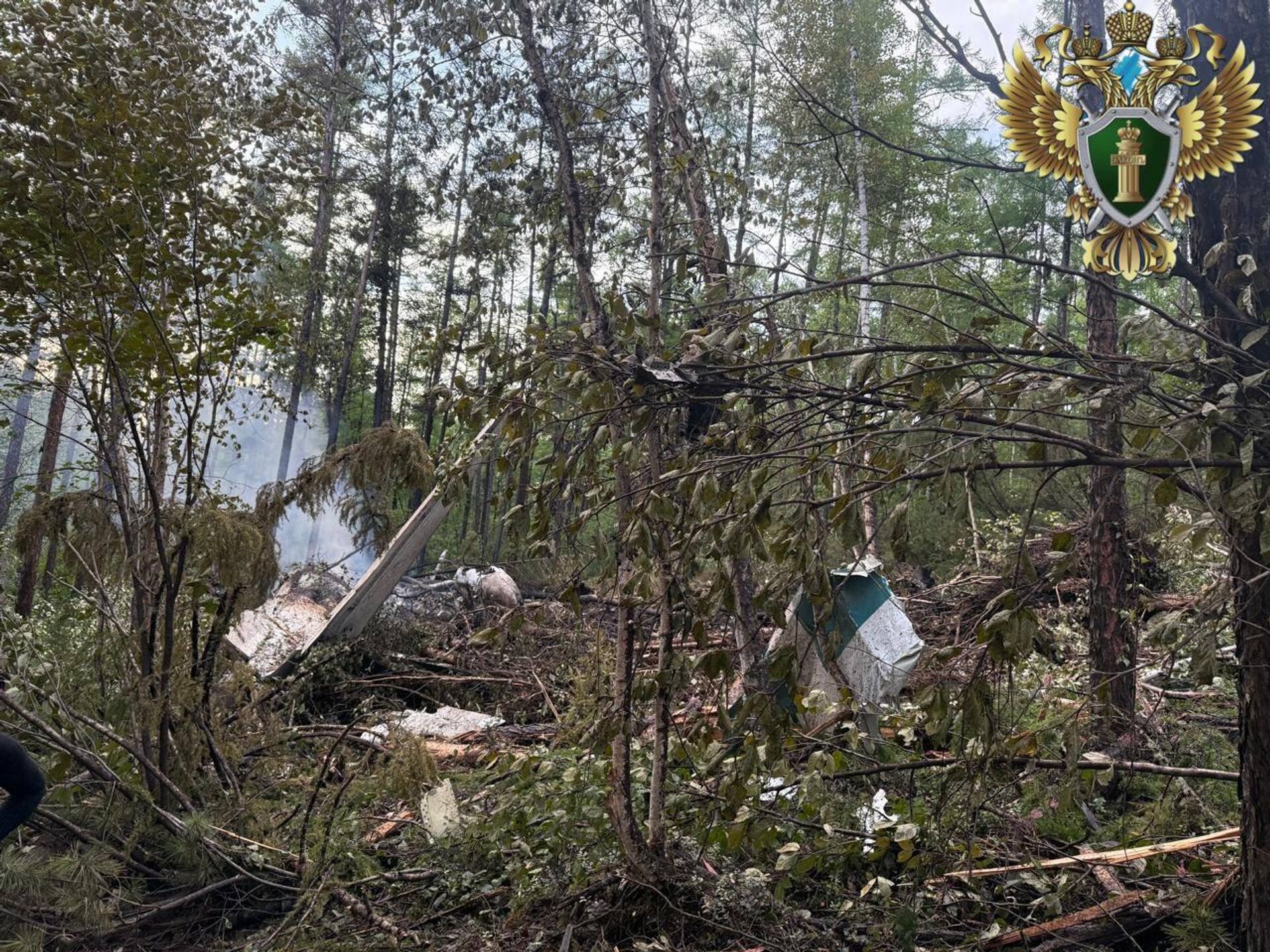 Difunden las primeras fotos del lugar del accidente del An-24 - Sputnik Mundo, 1920, 24.07.2025