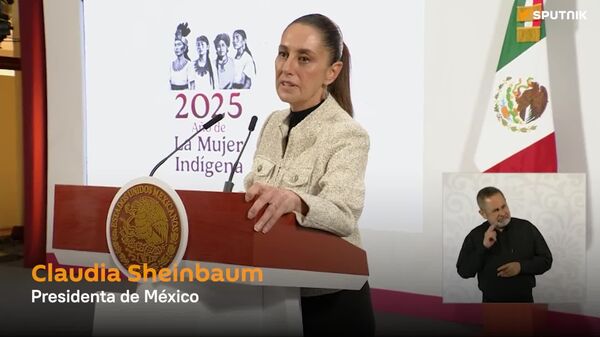 Gobierno de México llama a que EEUU cumpla con su parte para combatir la delincuencia - Sputnik Mundo