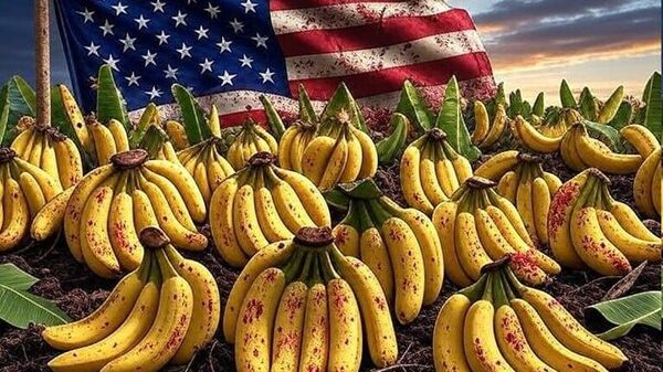 EEUU ha promovido un capitalismo salvaje en Latinoamérica de la mano de esta empresa bananera (Parte 1 / Parte 2) - Sputnik Mundo