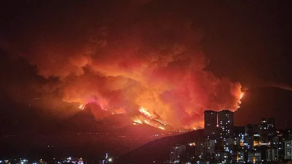 Al menos 14 personas han muerto en los incendios forestales de Turquía - Sputnik Mundo