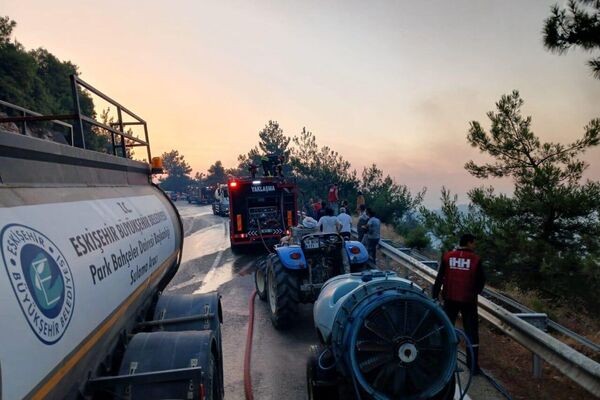 Al menos 14 personas han muerto en los incendios forestales de Turquía - Sputnik Mundo