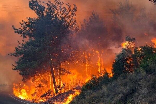 Al menos 14 personas han muerto en los incendios forestales de Turquía - Sputnik Mundo