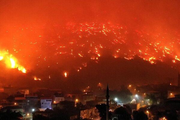 Al menos 14 personas han muerto en los incendios forestales de Turquía - Sputnik Mundo