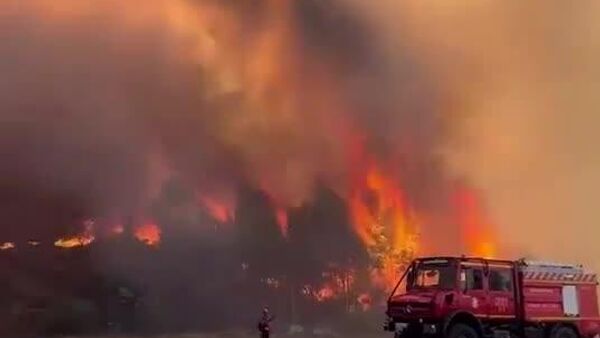 Los incendios forestales en Europa alcanzan Portugal - Sputnik Mundo
