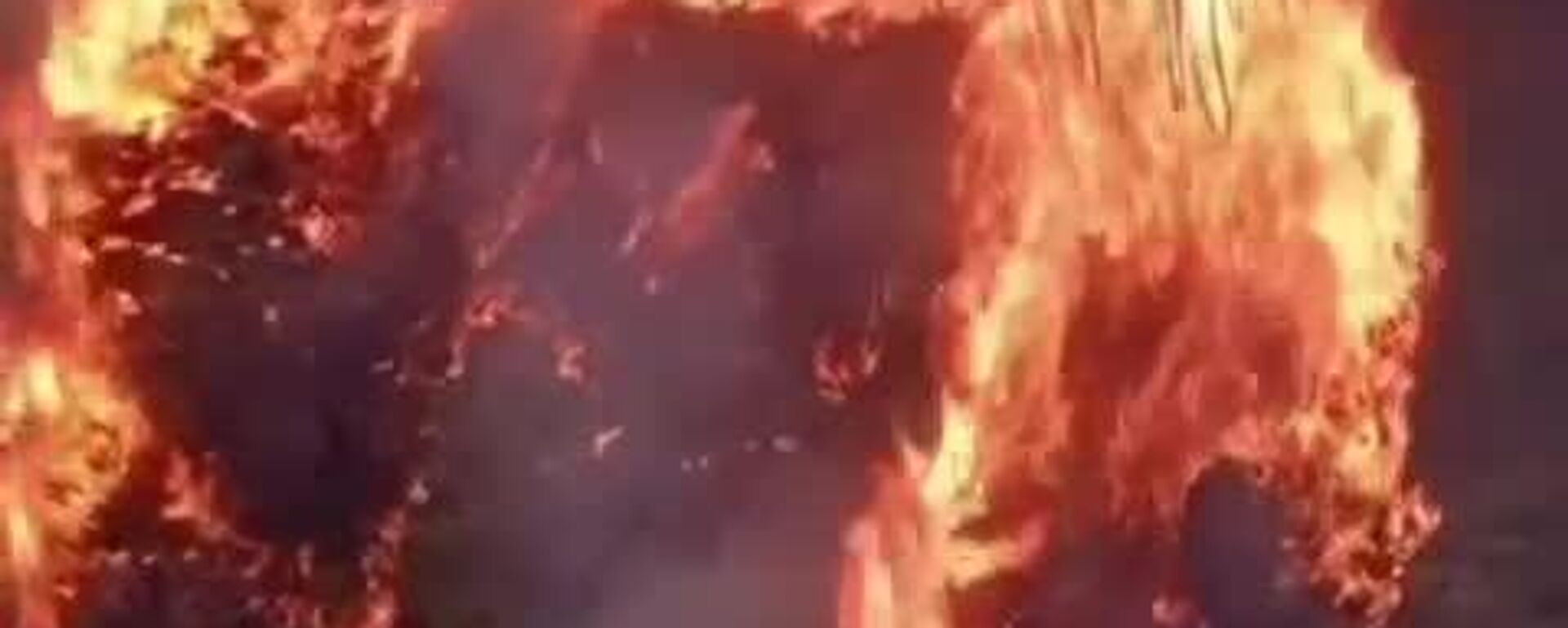 ‍ Portugal lucha contra varios grandes incendios forestales en un calor sofocante del verano - Sputnik Mundo, 1920, 29.07.2025