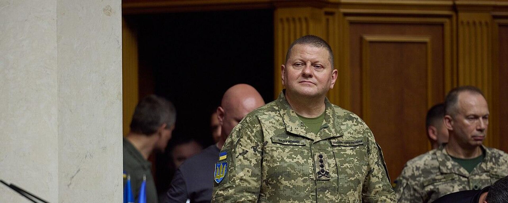 Valeri Zaluzhni, ex comandante en jefe de las FFAA ucranianas  - Sputnik Mundo, 1920, 29.07.2025