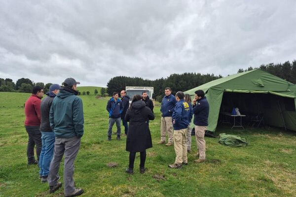 Chile inicia la evacuación en las costas de la zona sur tras alerta de tsunami - Sputnik Mundo