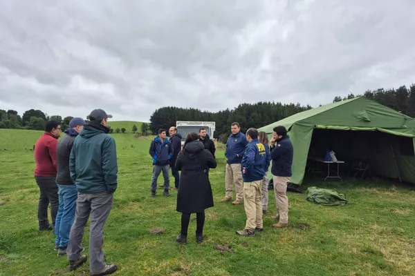 Chile inicia la evacuación en las costas de la zona sur tras alerta de tsunami - Sputnik Mundo