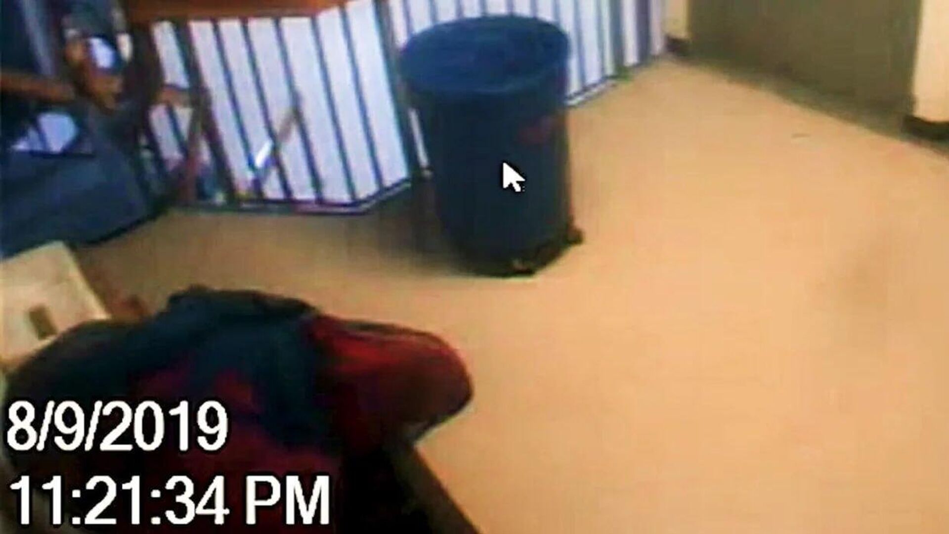 El video de la cárcel de Epstein plantea numerosas preguntas El video de la cárcel de Epstein plantea numerosas preguntas - Sputnik Mundo, 1920, 30.07.2025