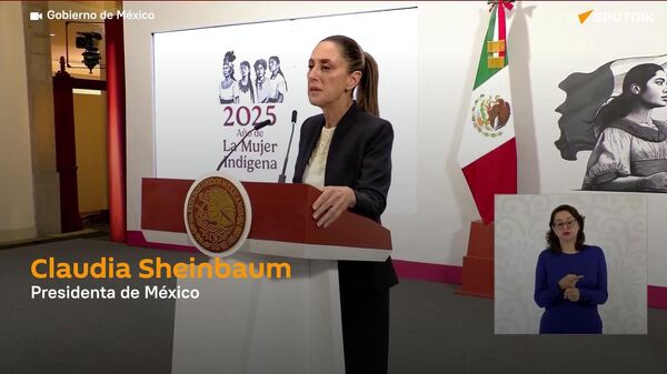 Sheinbaum destaca la detención de dos agentes estadounidenses que permitieron el paso de drogas - Sputnik Mundo