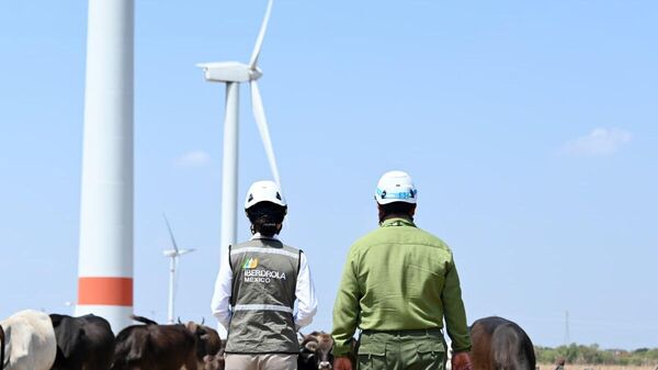 Iberdrola se despide de México: vende sus activos en el país por $4 - Sputnik Mundo
